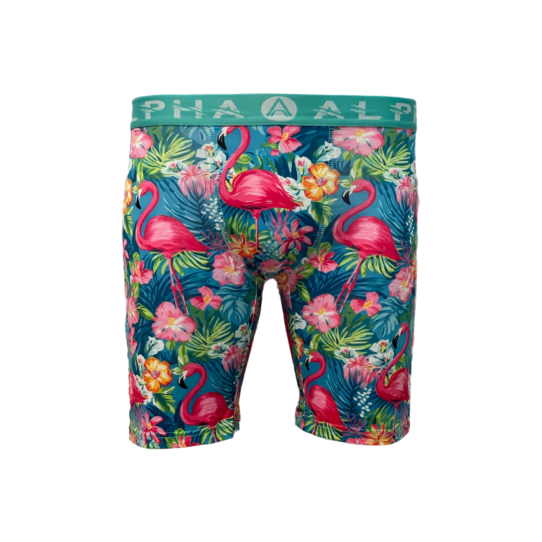 Flamingo Fever Mens Boxer Briefs