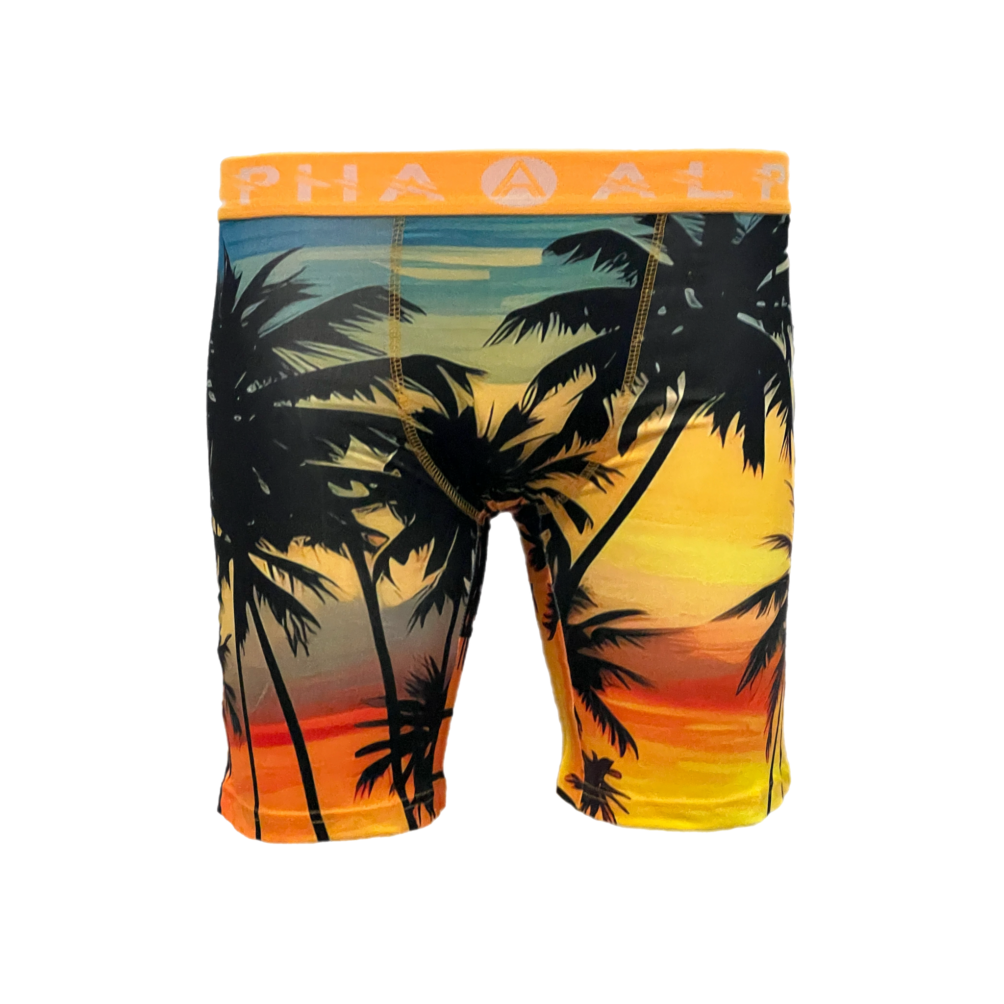 California Dreamin Mens Boxer Briefs