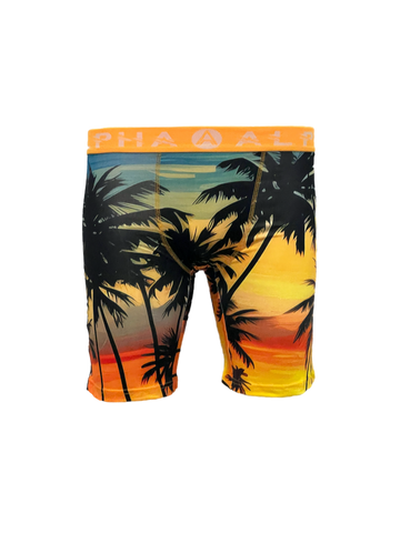 California Dreamin Mens Boxer Briefs